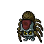 Cave Tarantula