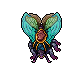Lacewing Moth