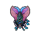 Hibernal Moth