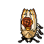 Satin Moth