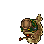 Tiger Slug