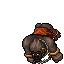 Gorongra