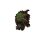 Swamp Snapper
